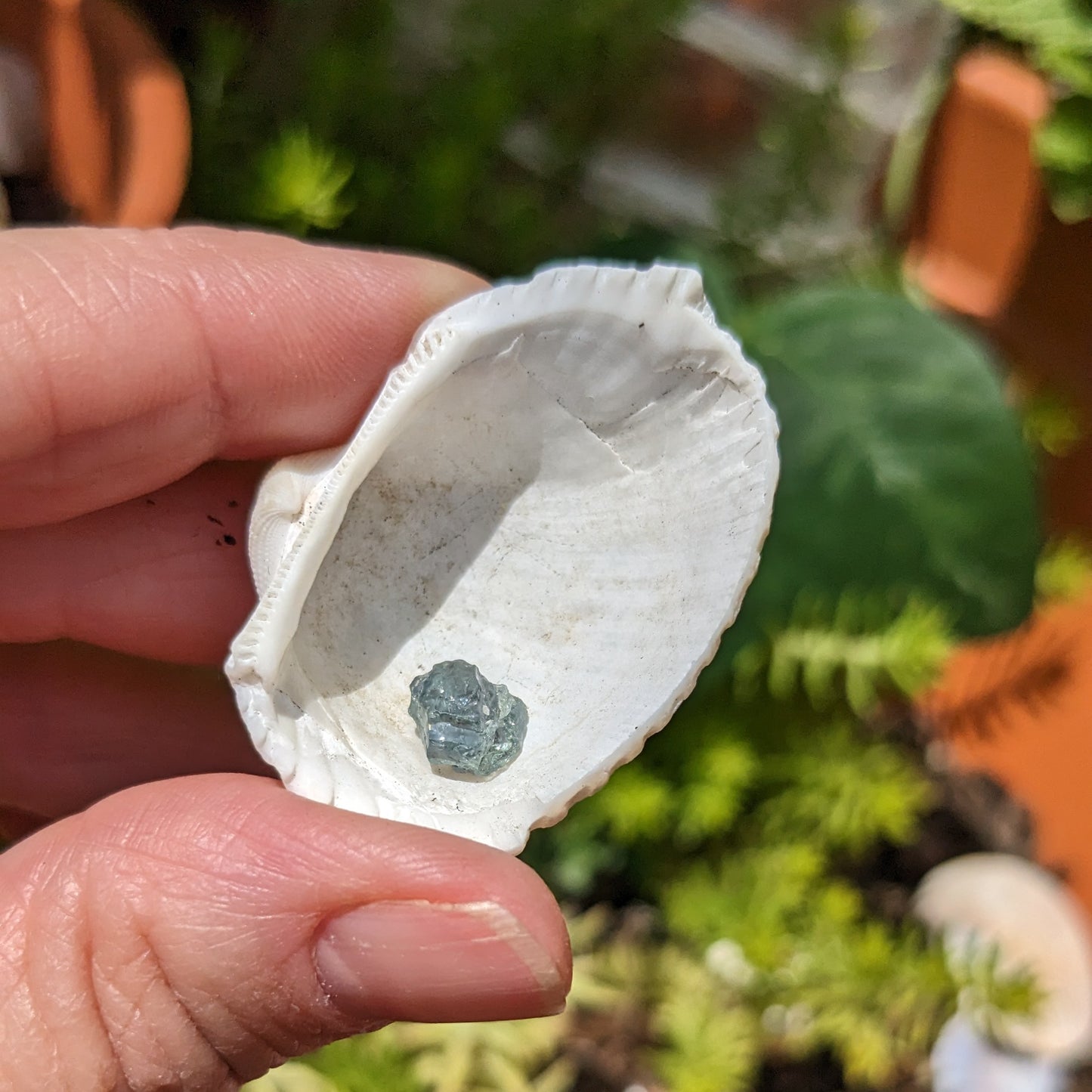 2.01ct Alexandrite - Hand Select Gem Rough - prettyrock.com