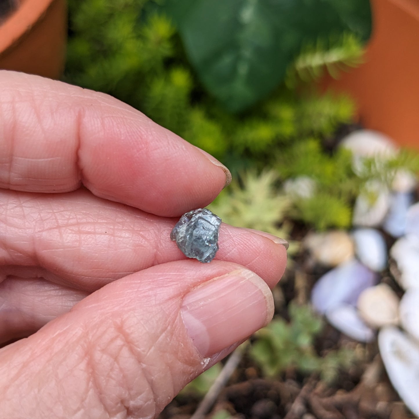 2.01ct Alexandrite - Hand Select Gem Rough - prettyrock.com