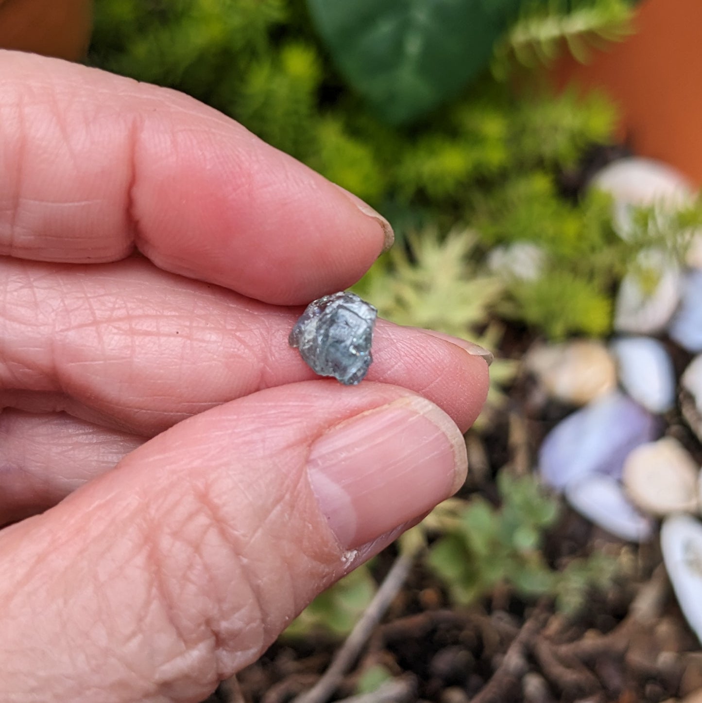 2.01ct Alexandrite - Hand Select Gem Rough - prettyrock.com