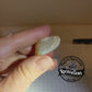 clam opal - 30ct - Hand Select Gem Rough