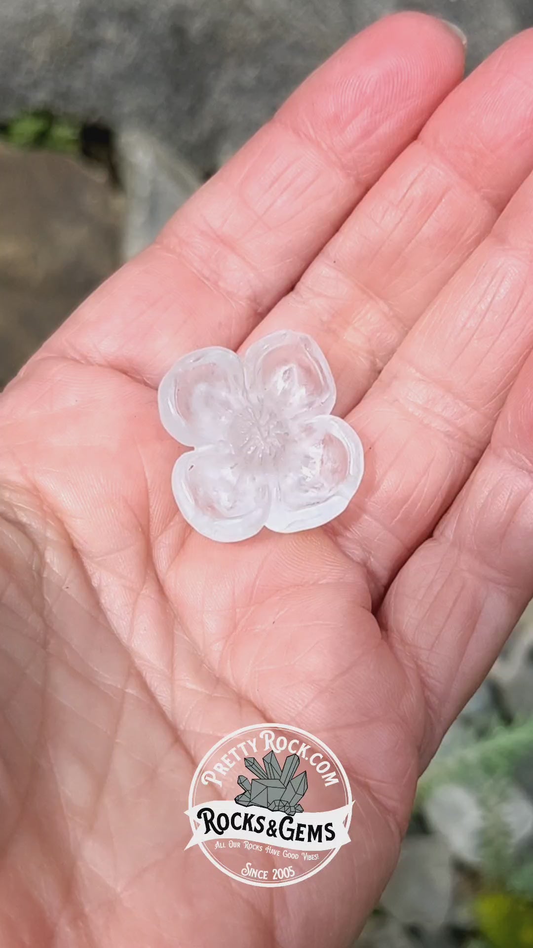 Aquamarine Dogwood Flower - Hand Carved by Elizabeth McRorie - prettyrock.com