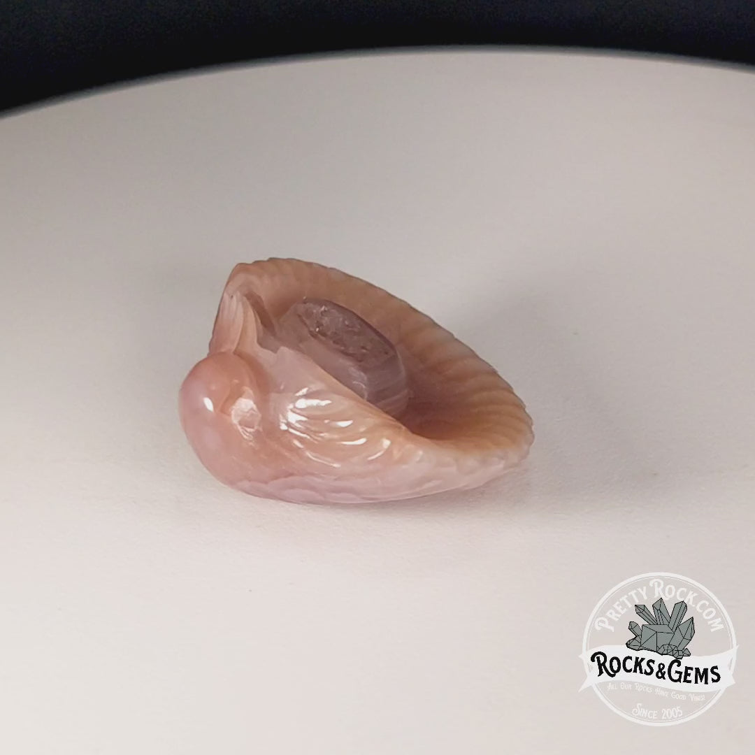 Agate Sea Shell - Hand Carved by Elizabeth McRorie - prettyrock.com