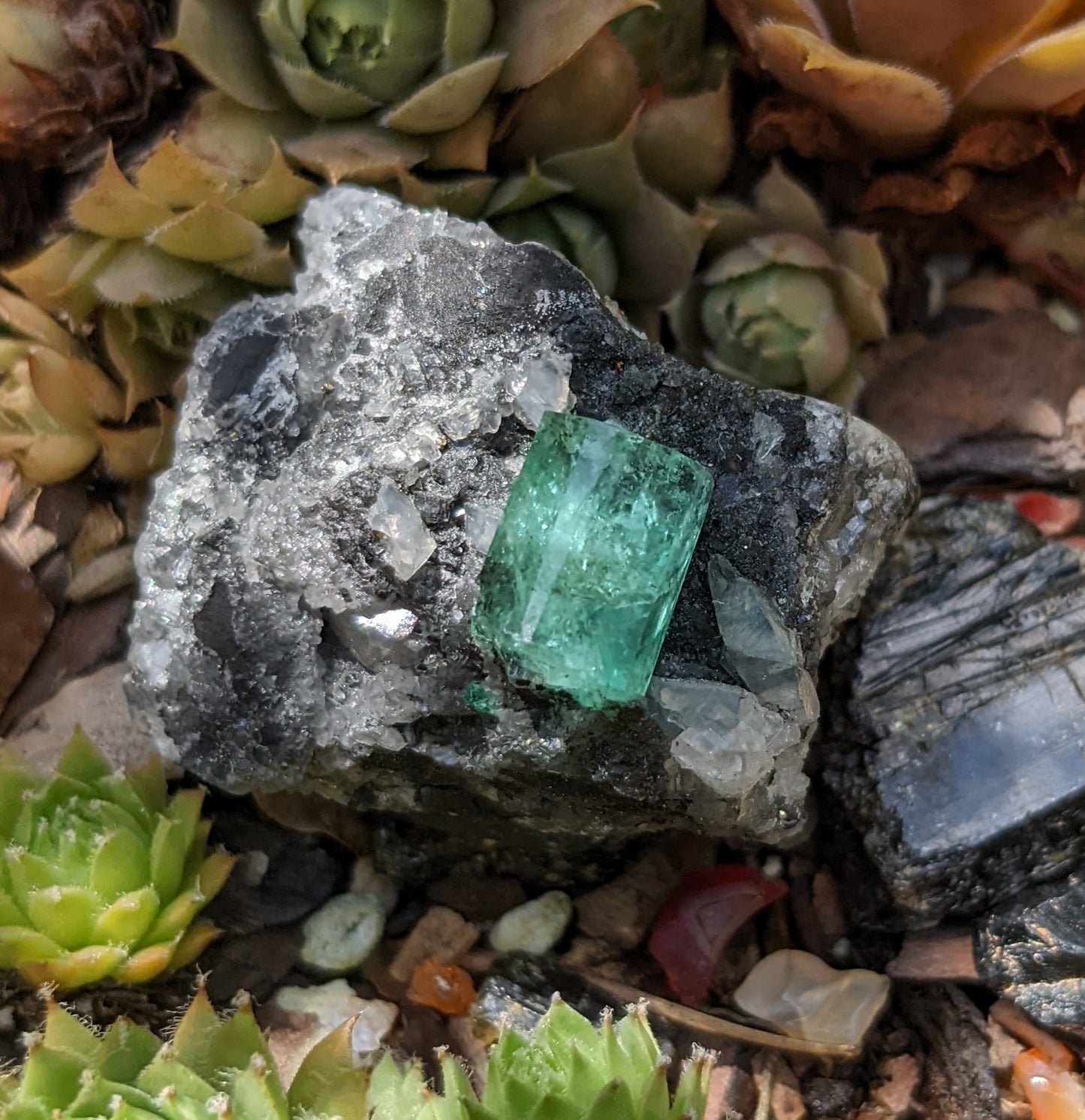 Emerald on Matrix - Mineral Specimen - prettyrock.com