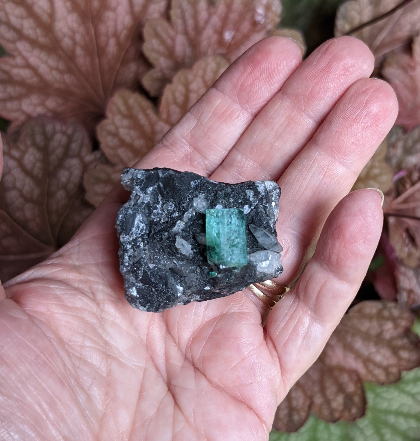 Emerald on Matrix - Mineral Specimen - prettyrock.com