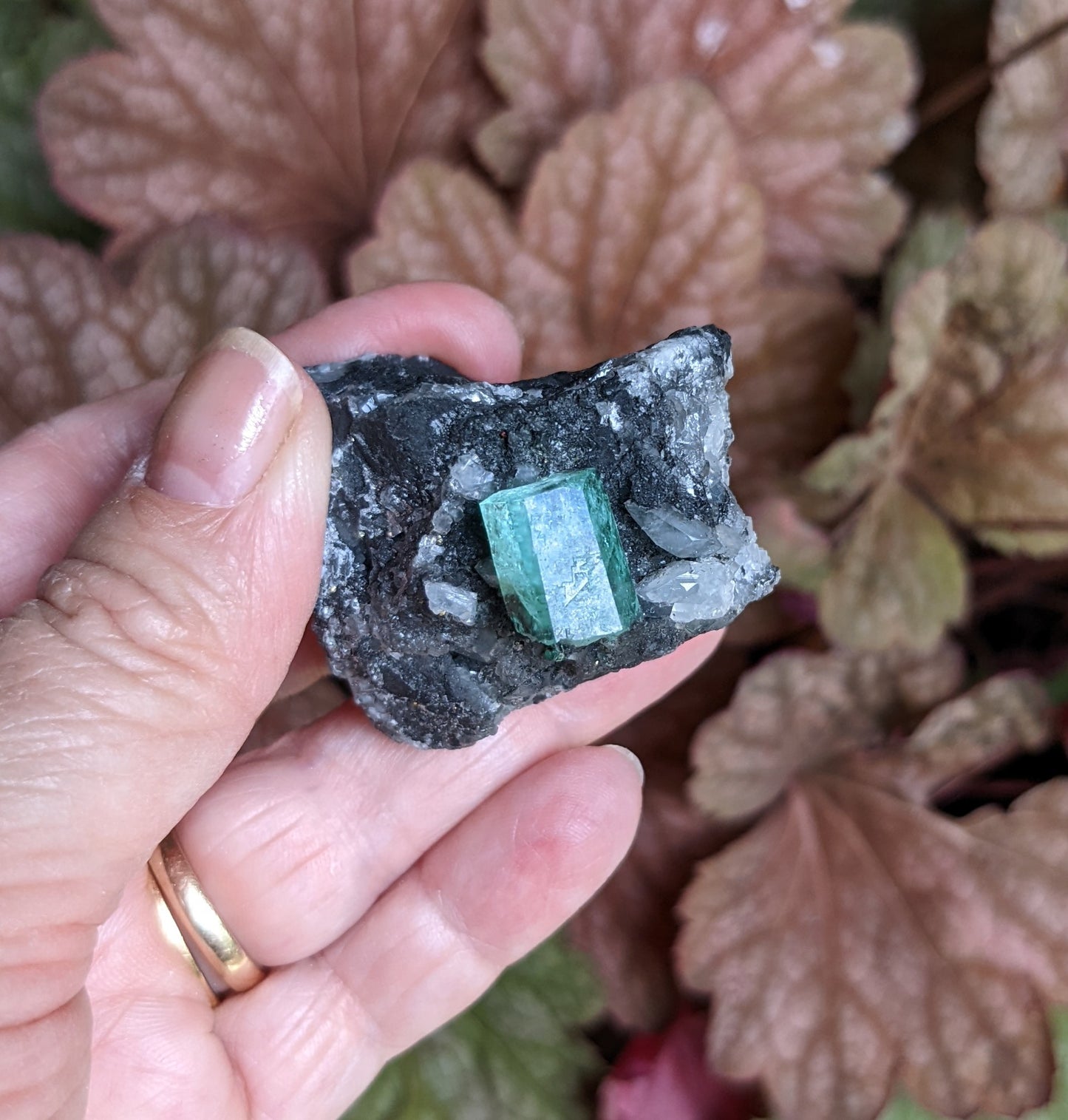 Emerald on Matrix - Mineral Specimen - prettyrock.com