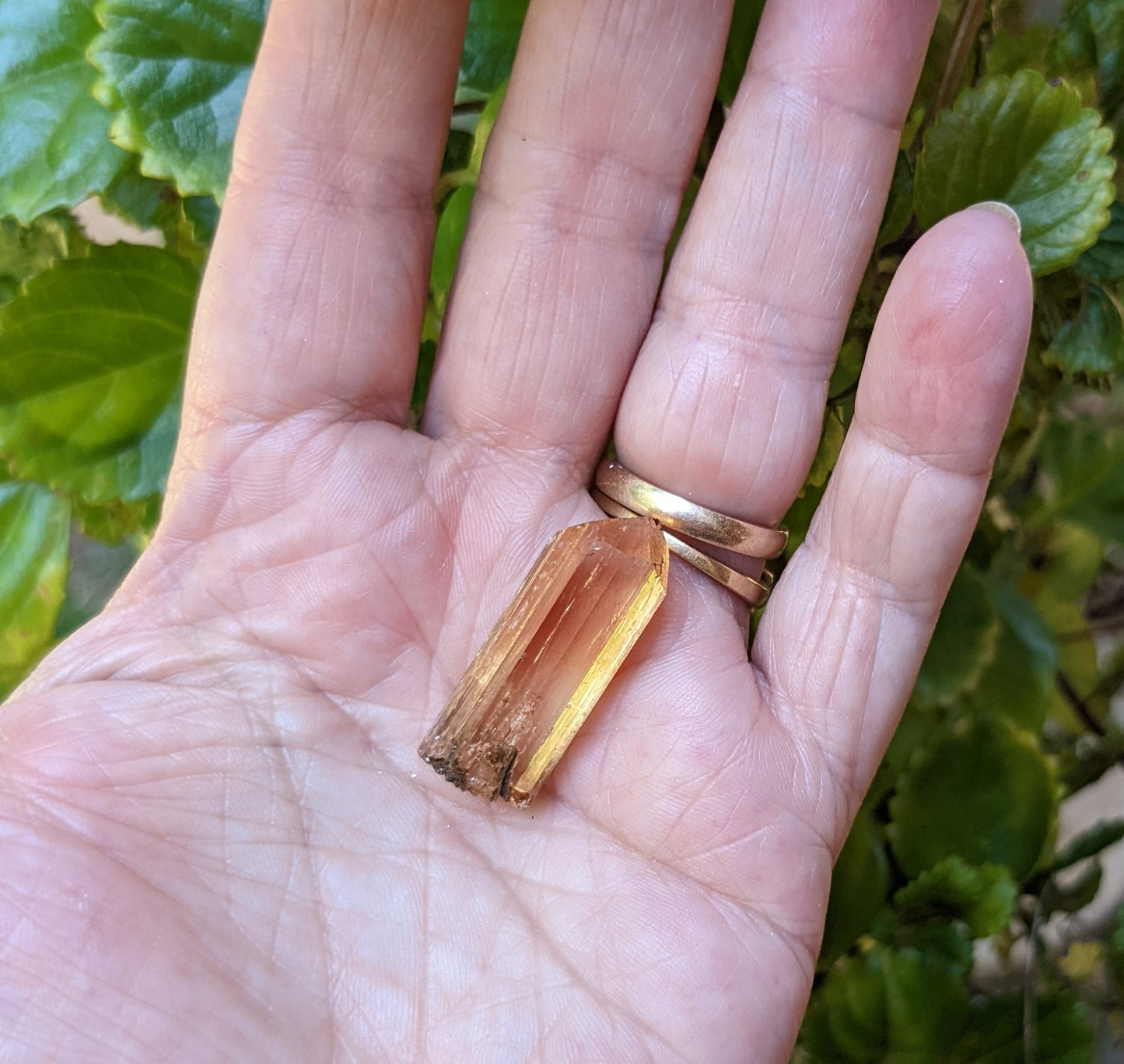 Imperial Topaz - 25.23ct - Hand Select Gem Rough - prettyrock.com