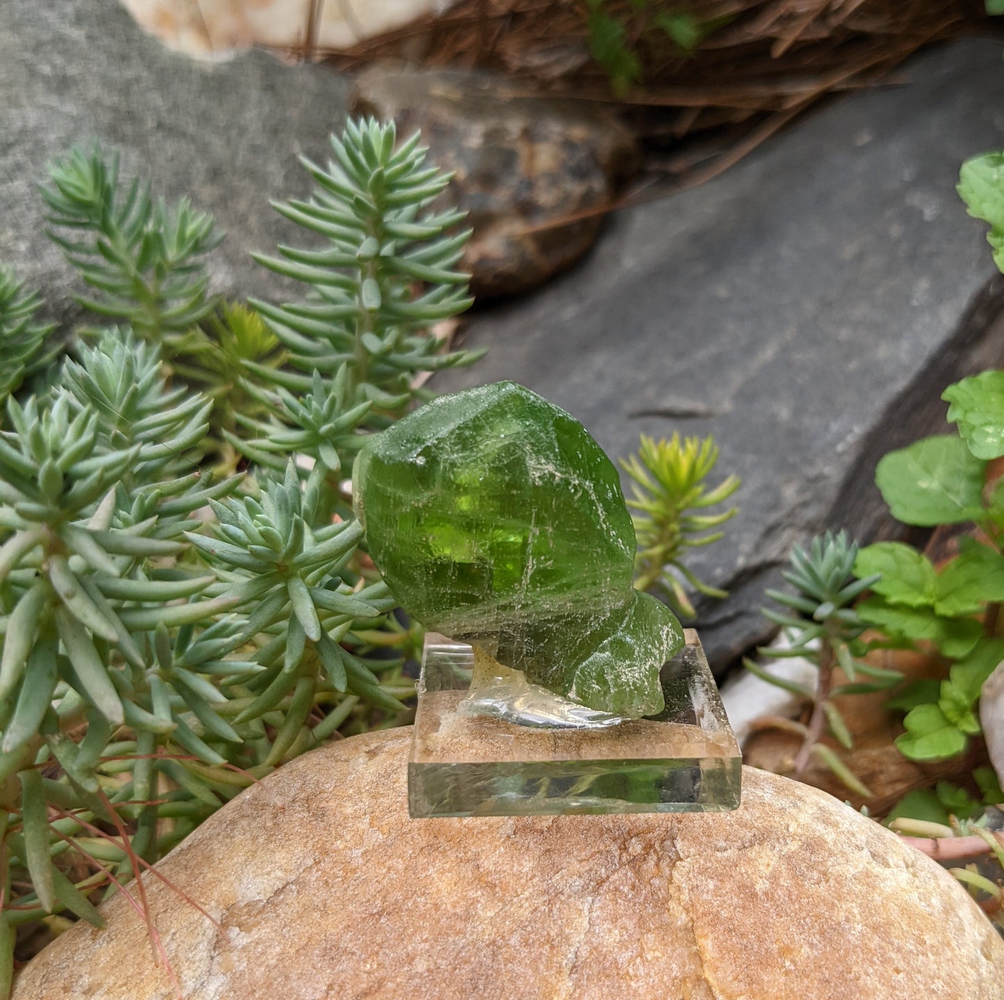 Peridot - 160ct - Hand Select Gem Rough - prettyrock.com