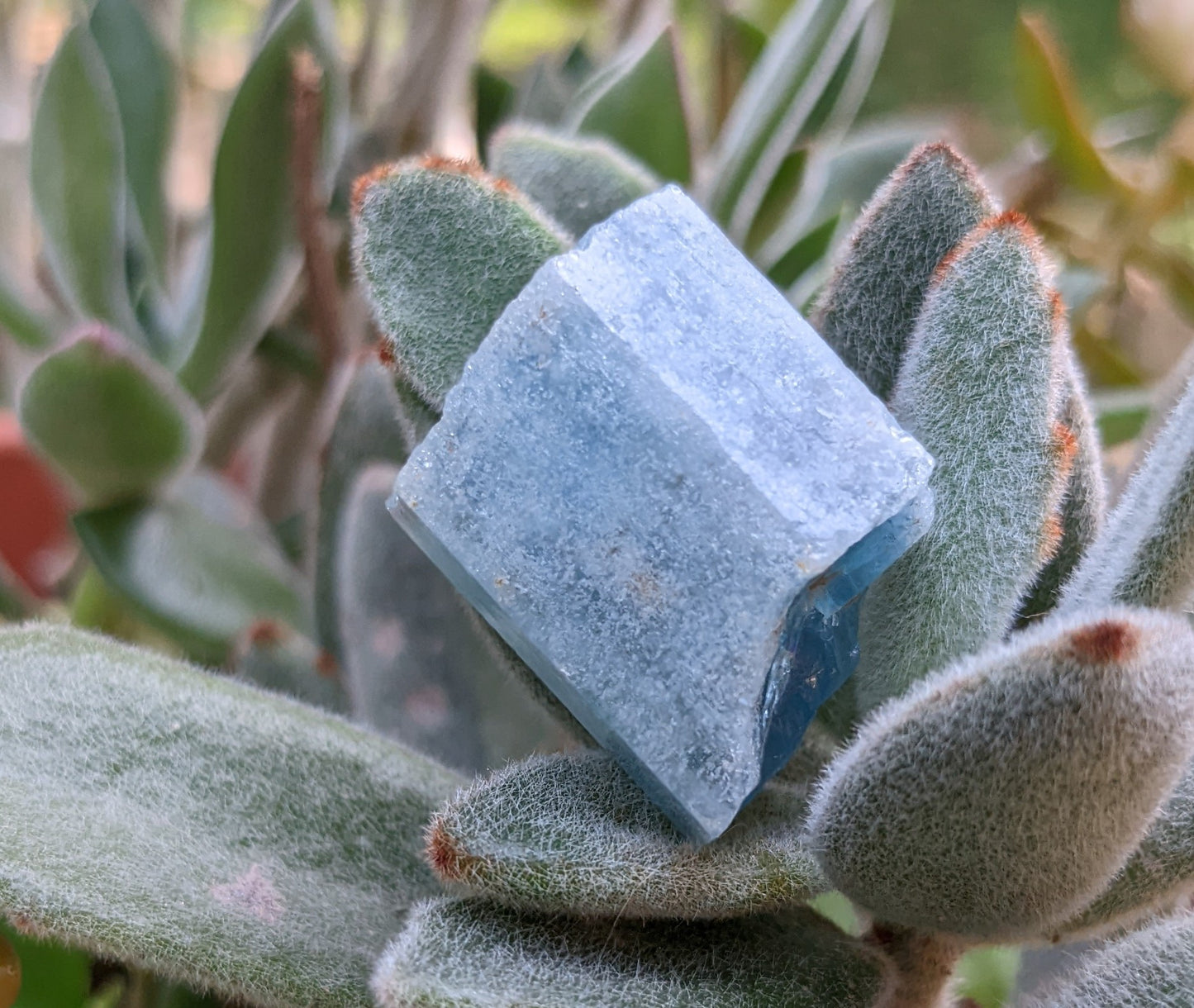 95.47ct Aquamarine - Mineral Specimen - prettyrock.com