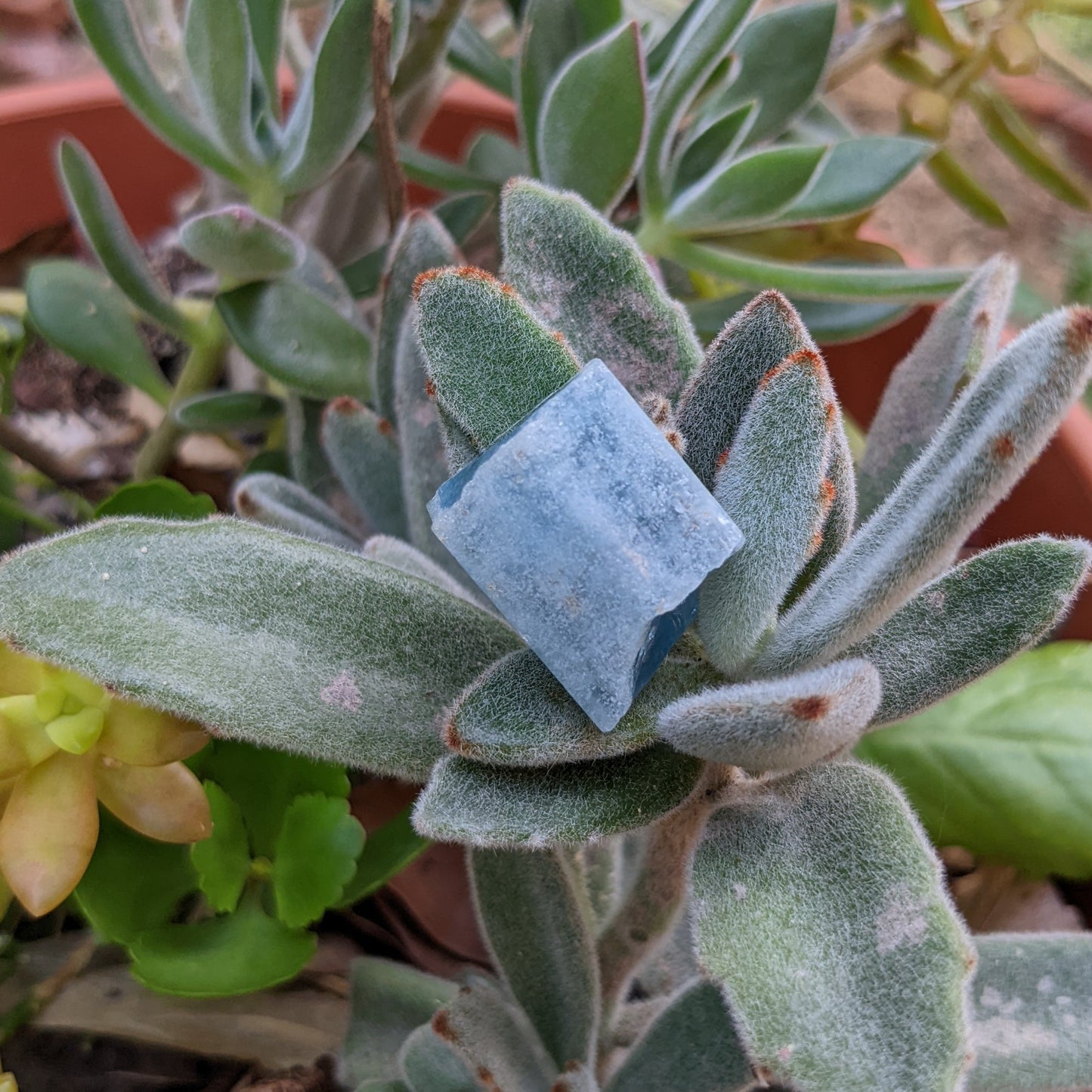 95.47ct Aquamarine - Mineral Specimen - prettyrock.com