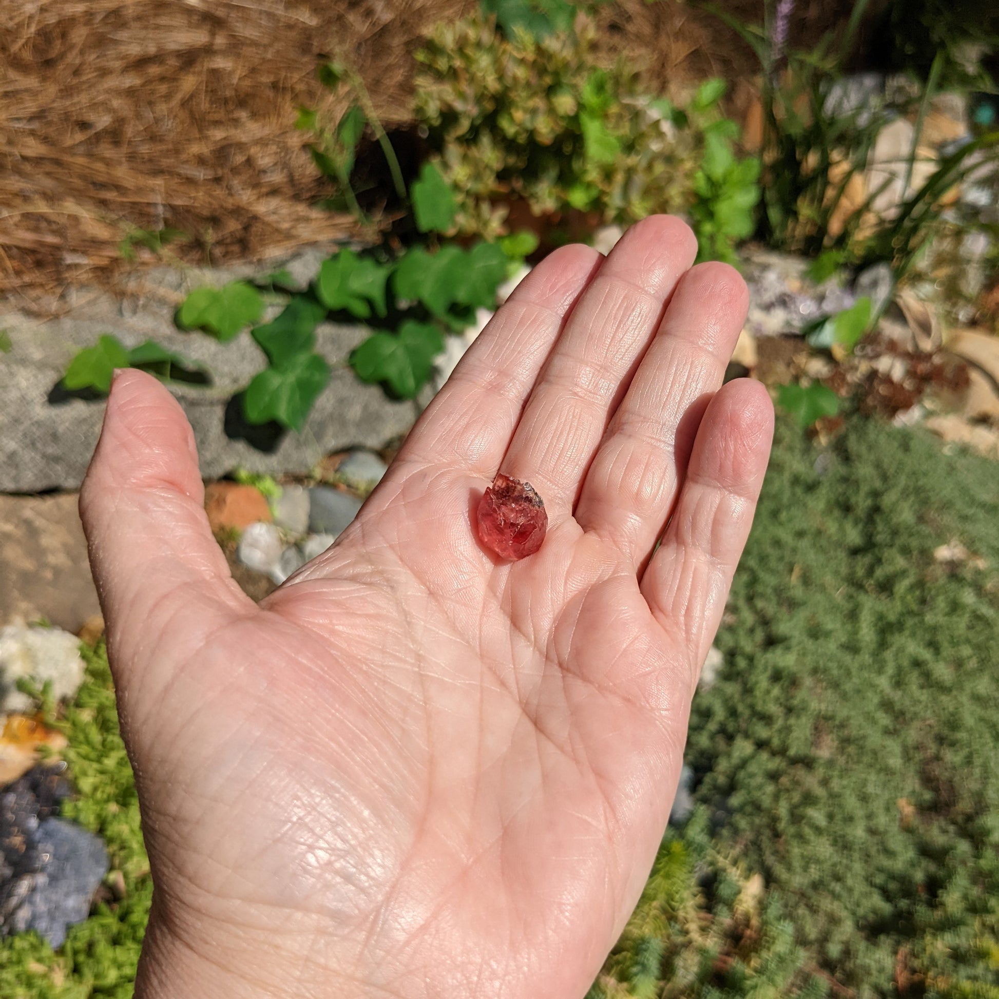 Rhodochrosite - 13.32ct - Hand Select Gem Rough - prettyrock.com