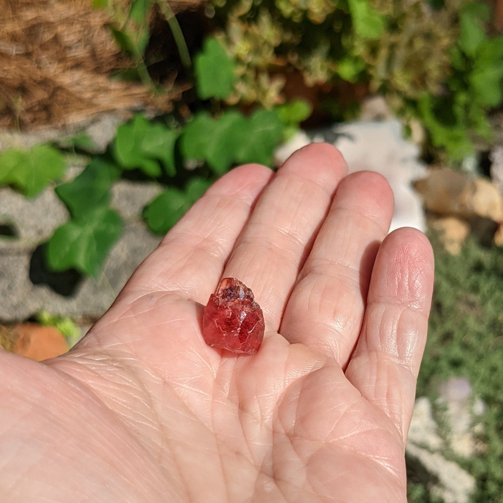 Rhodochrosite - 13.32ct - Hand Select Gem Rough - prettyrock.com