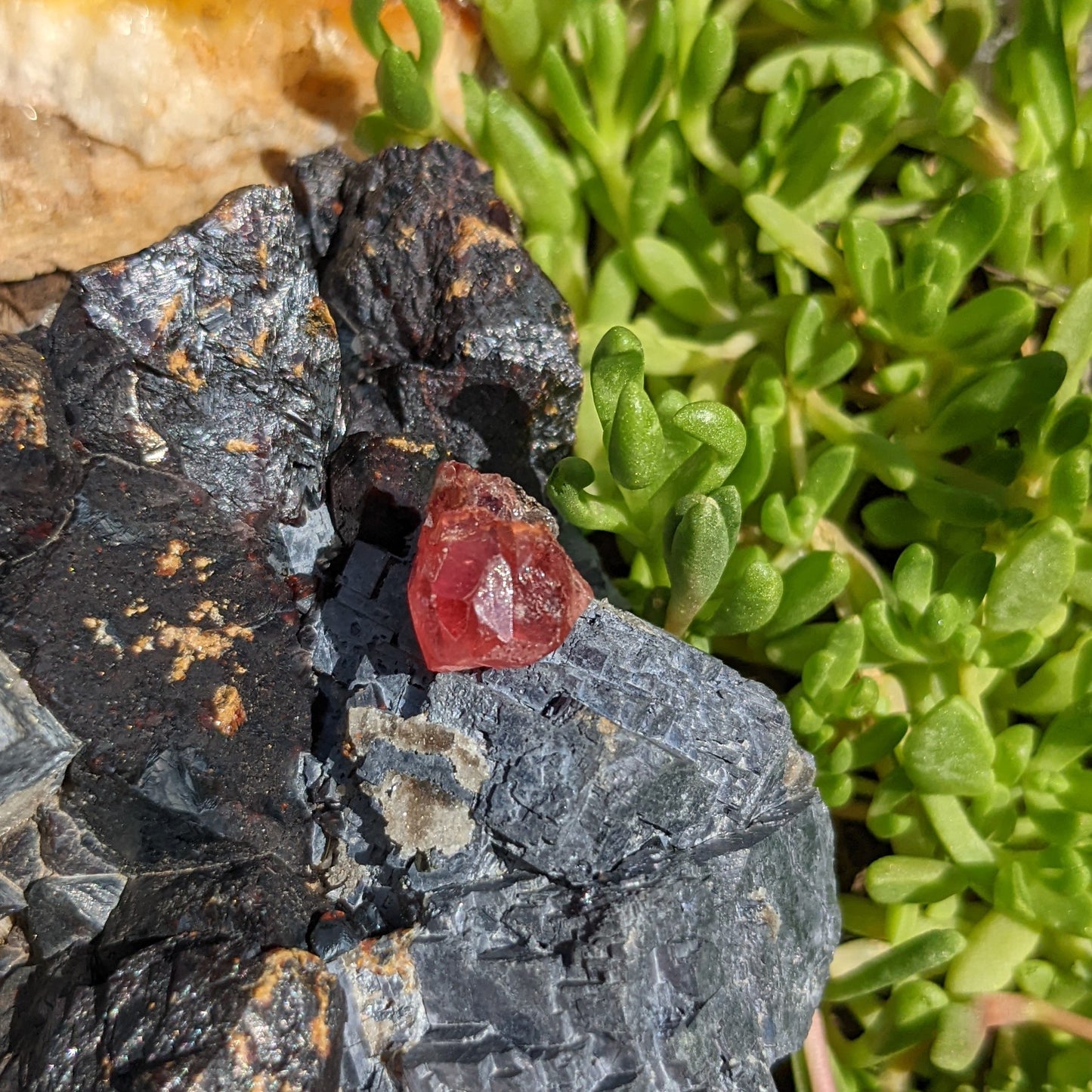 Rhodochrosite - 13.32ct - Hand Select Gem Rough - prettyrock.com