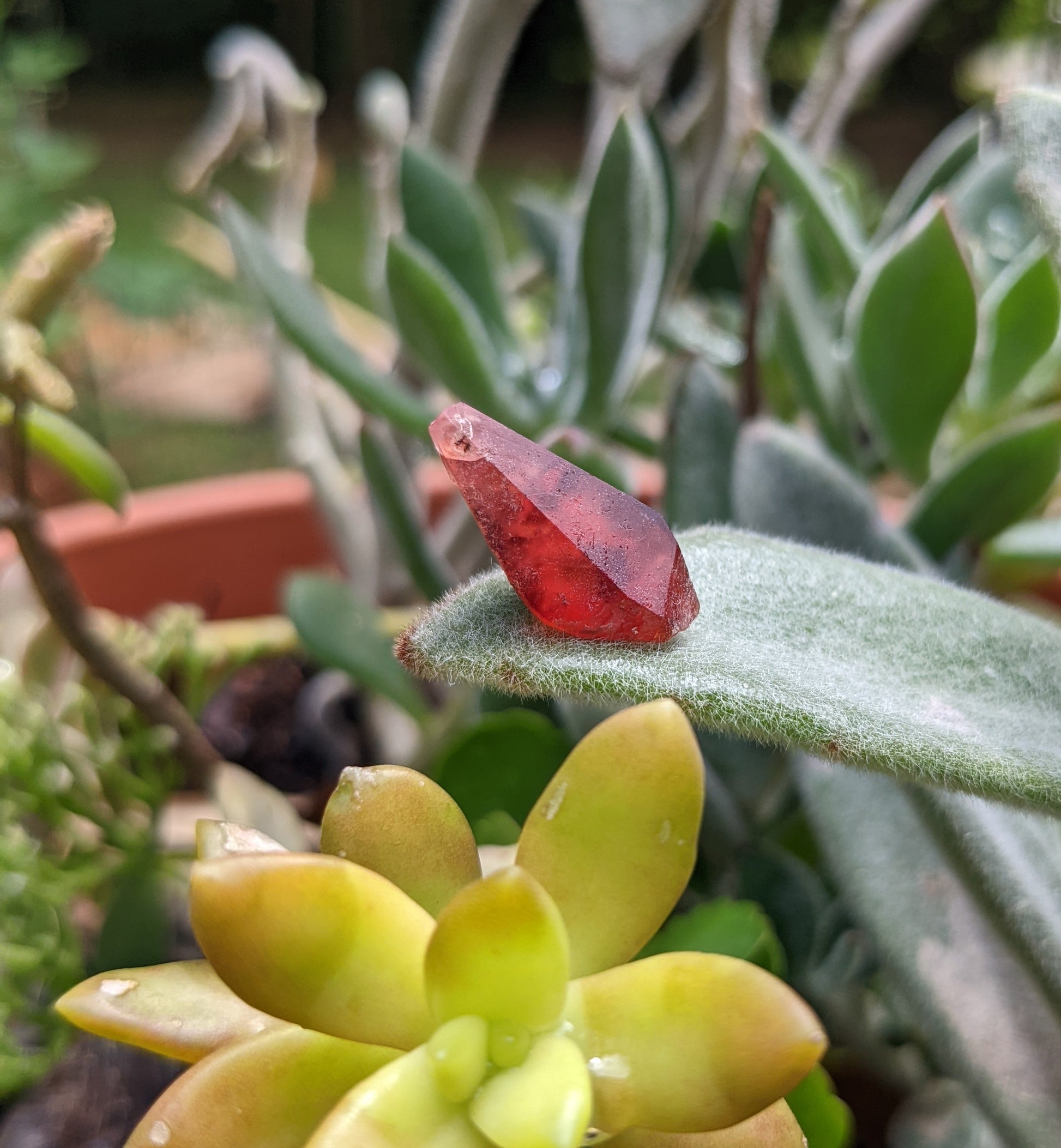 Rhodochrosite - 12.33ct - Hand Select Gem Rough - prettyrock.com