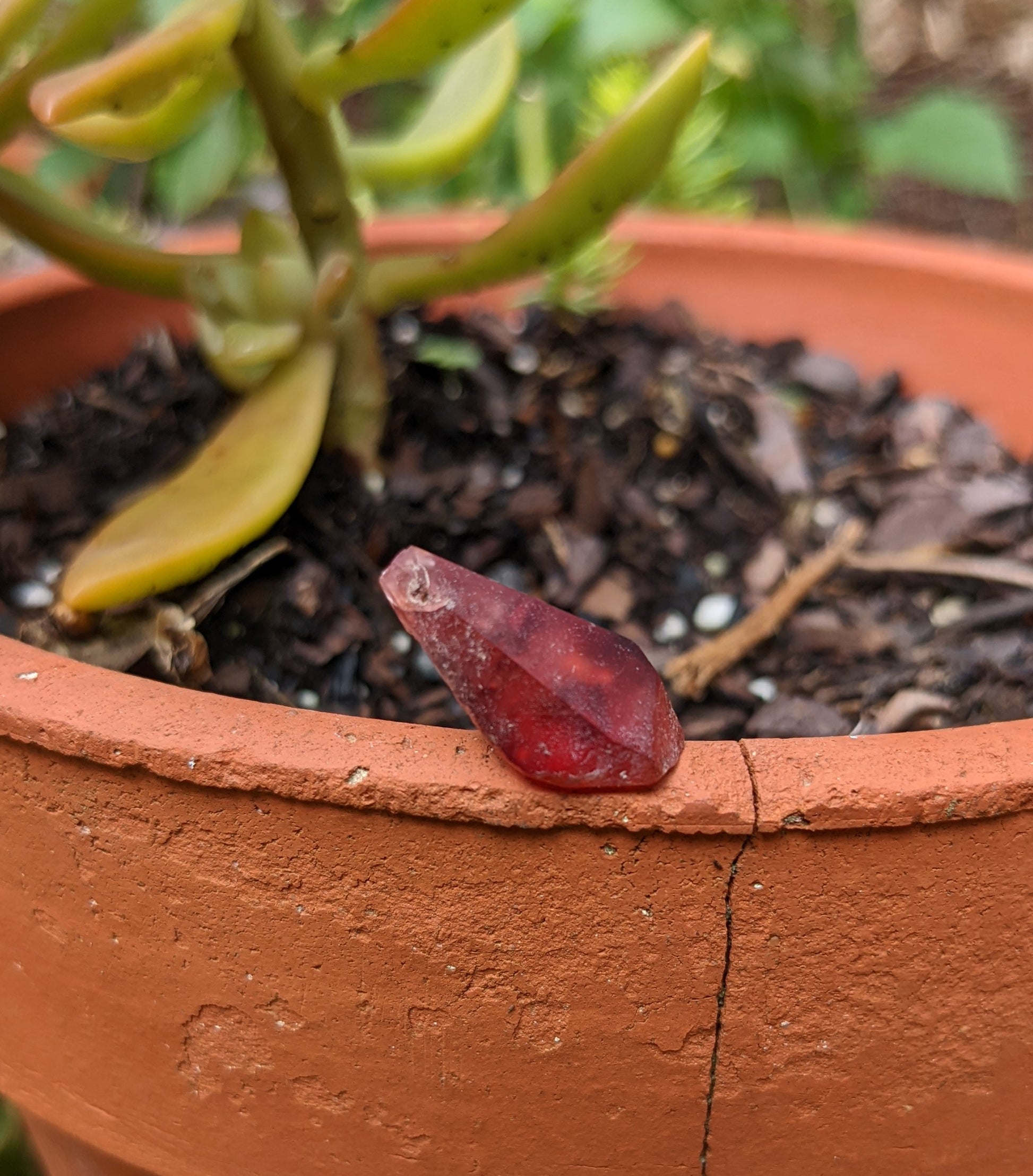 Rhodochrosite - 12.33ct - Hand Select Gem Rough - prettyrock.com