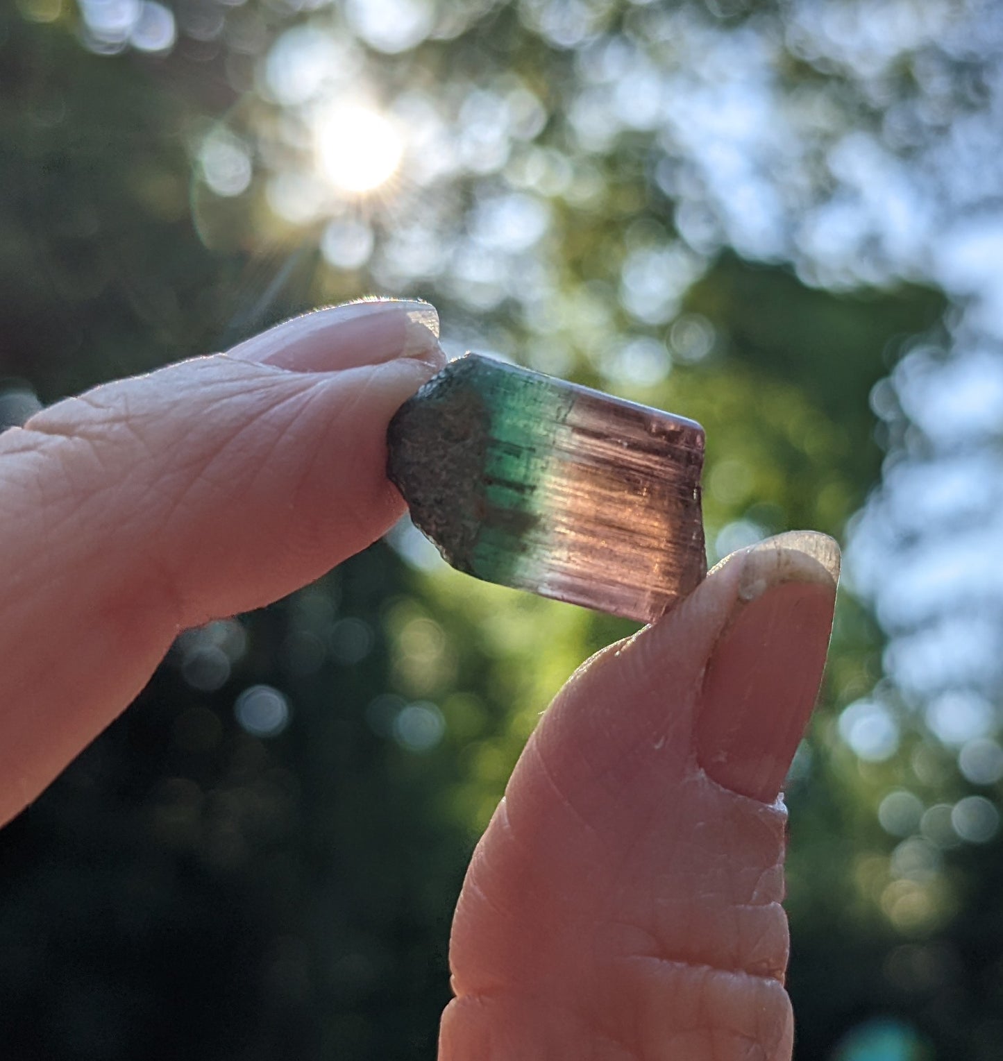 Bi-Color Tourmaline - 16.41ct - Hand Select Gem Rough - prettyrock.com
