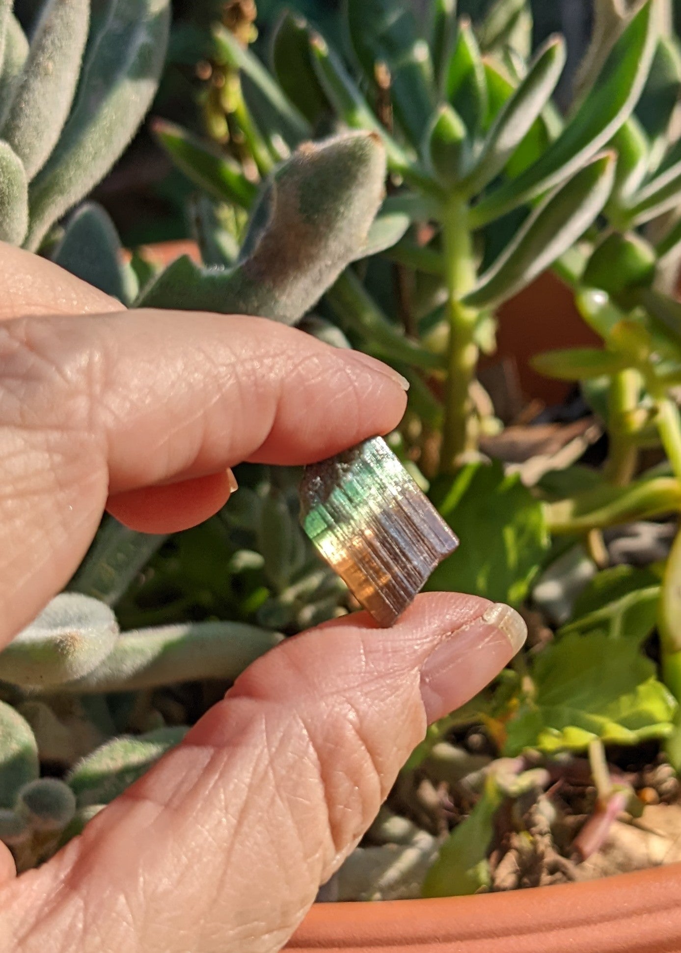 Bi-Color Tourmaline - 16.41ct - Hand Select Gem Rough - prettyrock.com