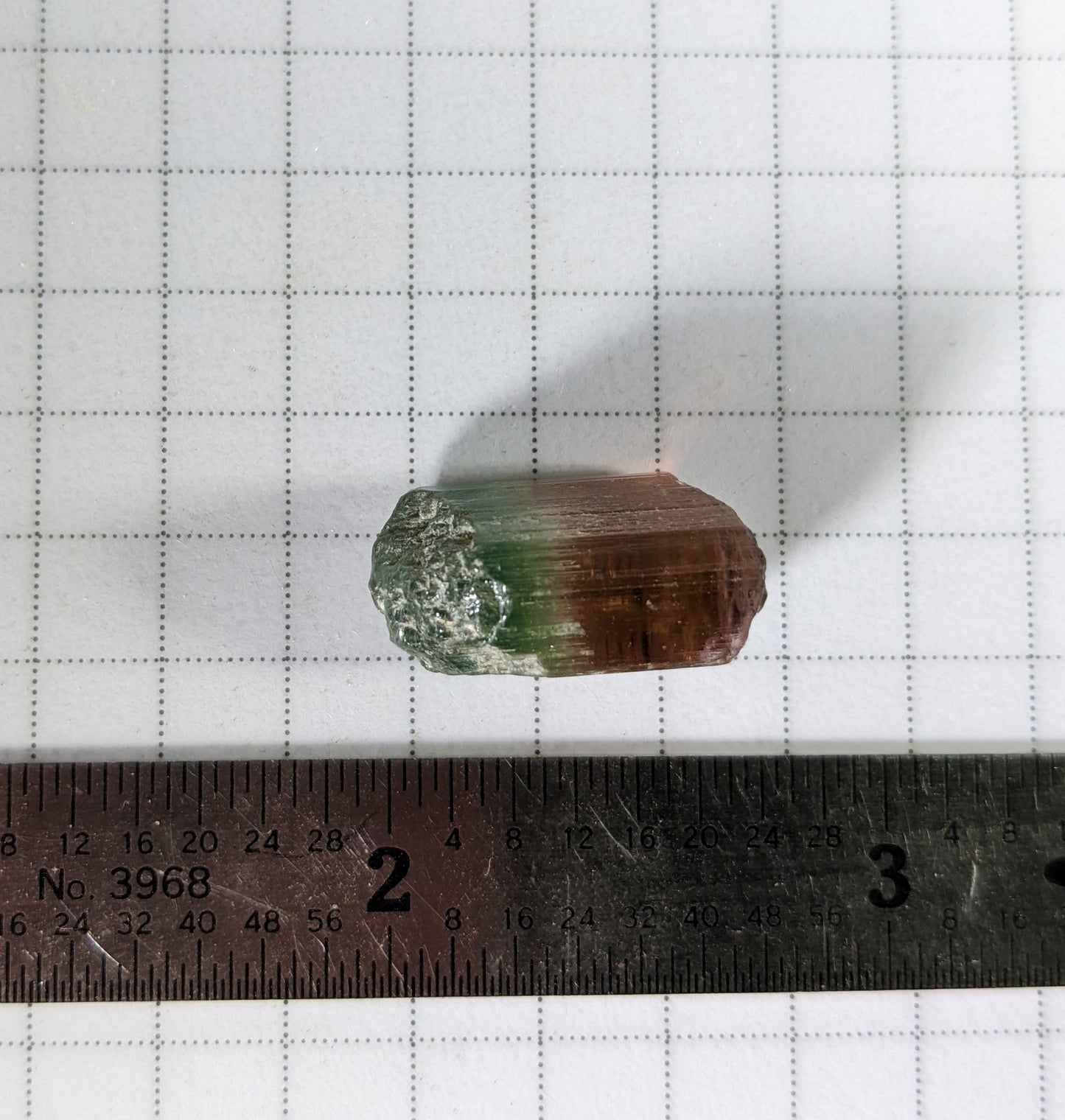 Bi-Color Tourmaline - 16.41ct - Hand Select Gem Rough - prettyrock.com