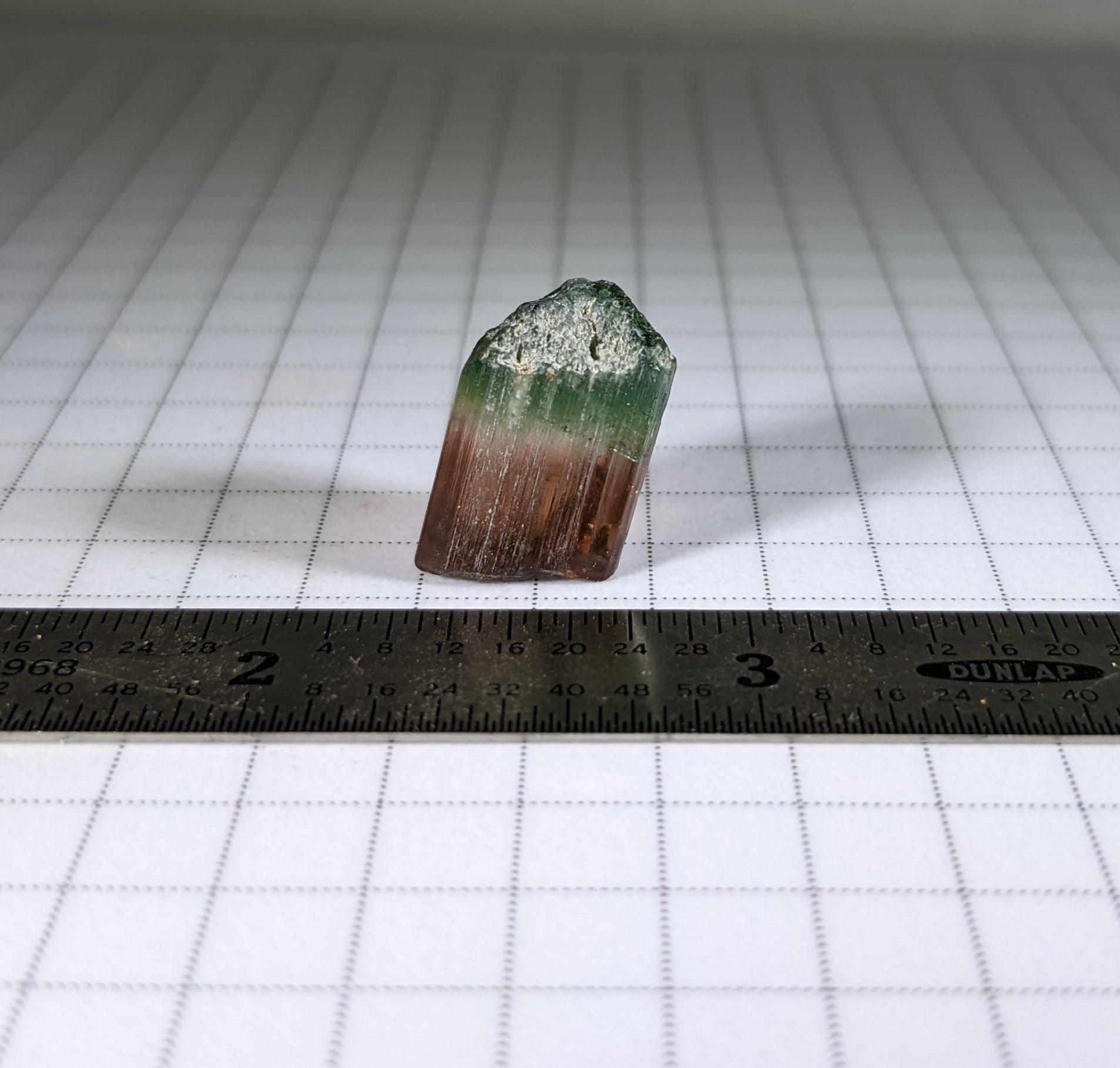 Bi-Color Tourmaline - 16.41ct - Hand Select Gem Rough - prettyrock.com