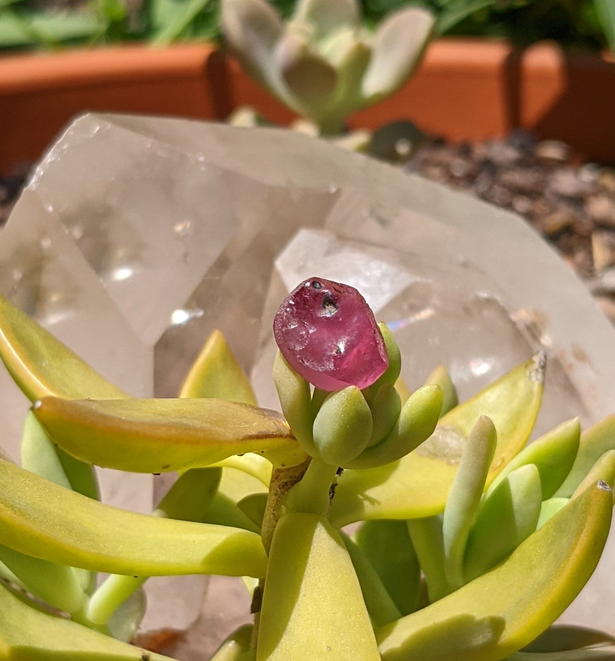 Pink Sapphire - 6.65ct - Hand Select Gem Rough - prettyrock.com