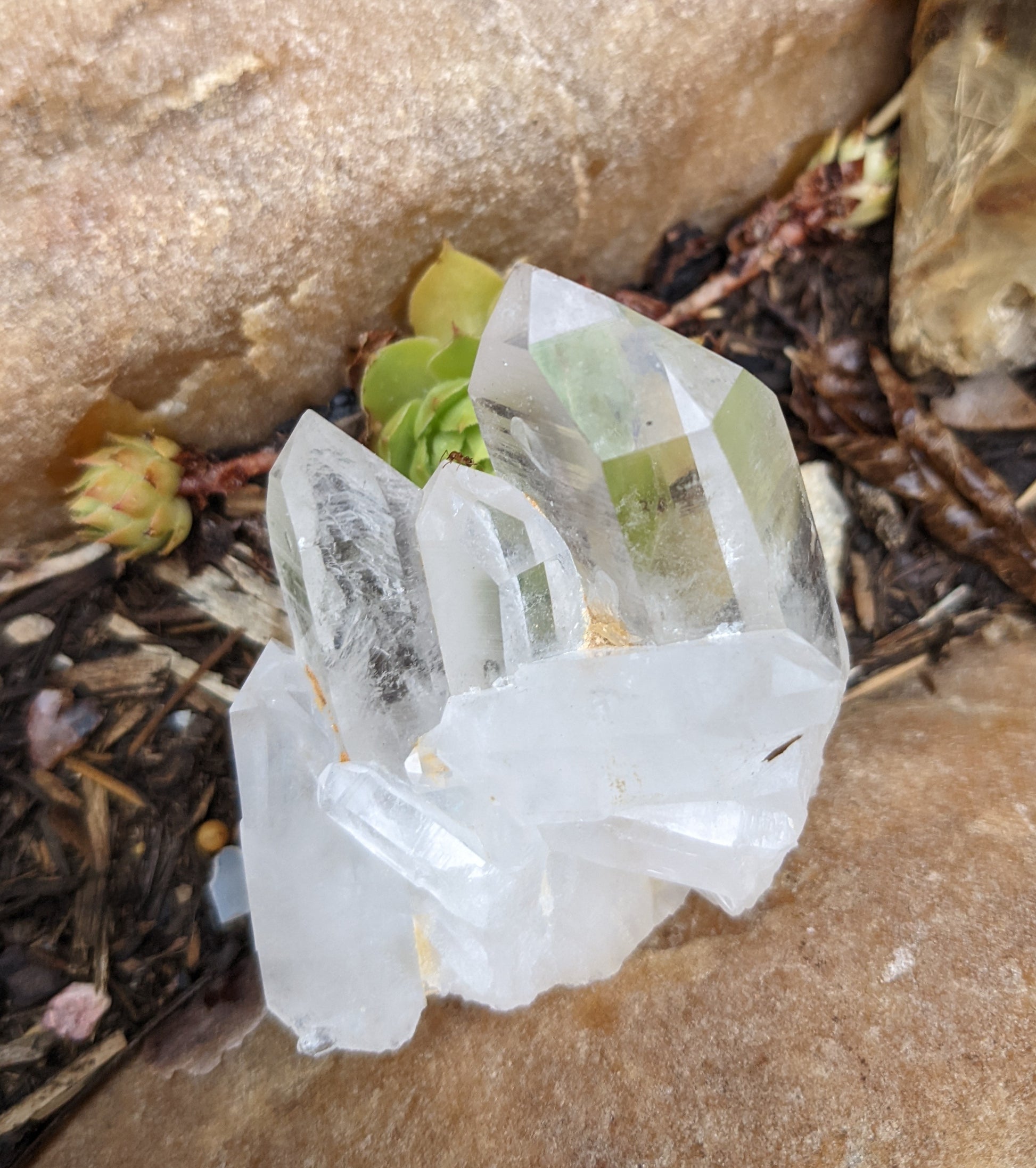 Clear Quartz Crystal Cluster - Mineral Specimen - 488 ct - prettyrock.com