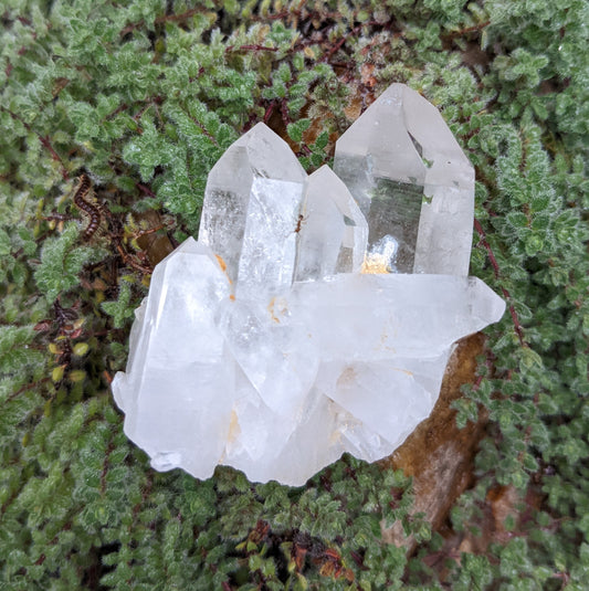 Clear Quartz Crystal Cluster - Mineral Specimen - 488 ct - prettyrock.com