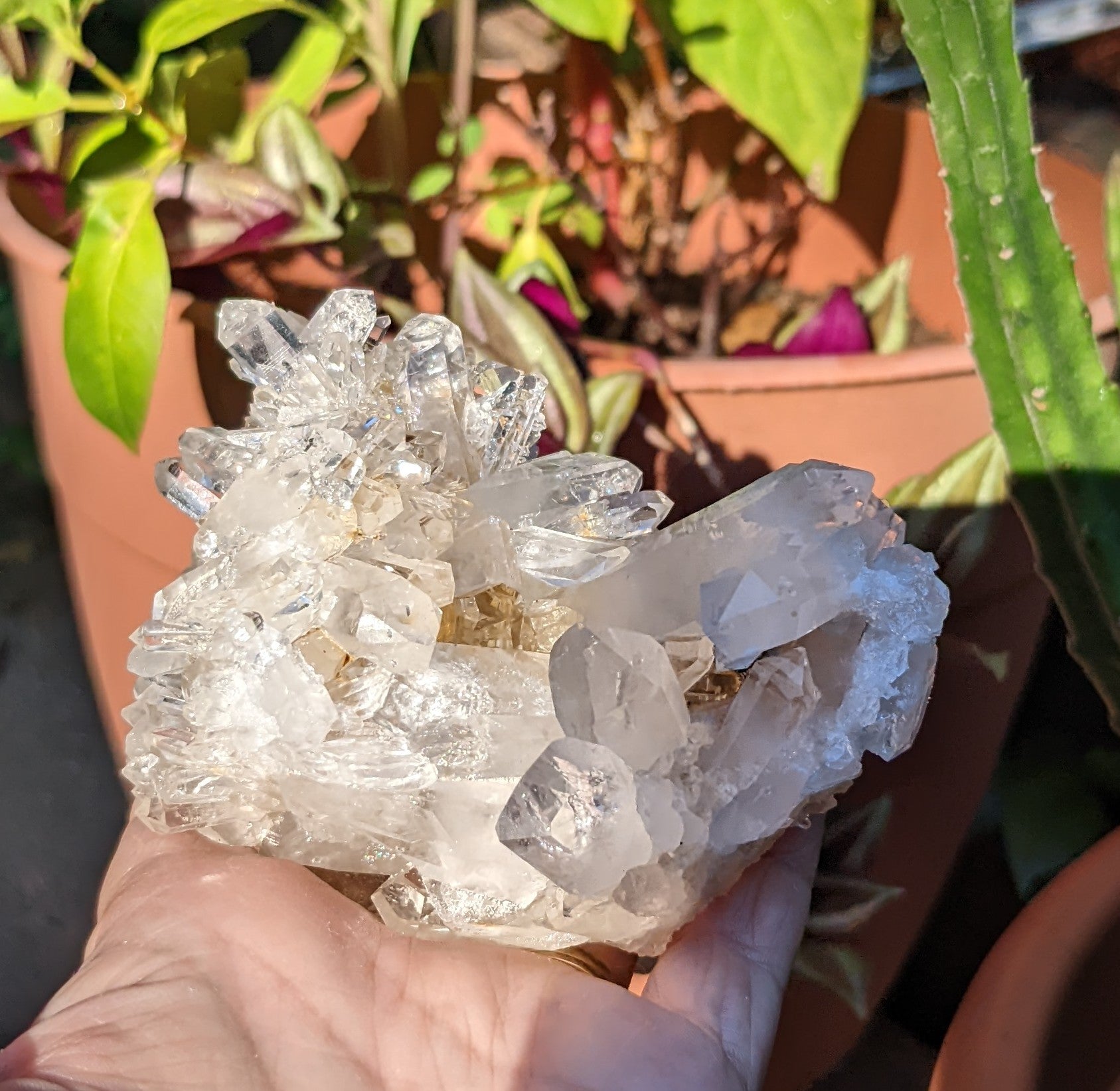 Clear Crystal Quartz  Cluster - Mineral Specimen - 1825 ct - prettyrock.com