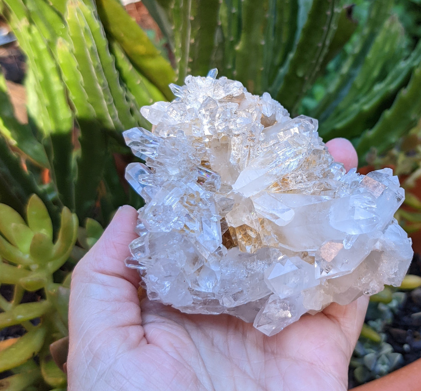 Clear Crystal Quartz Cluster - Mineral Specimen - 1825 ct - prettyrock.com
