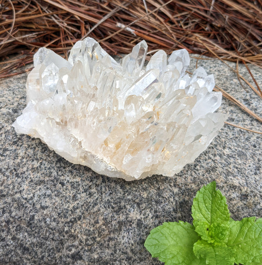 Clear Crystal Quartz  Cluster - Mineral Specimen - 3105 ct - prettyrock.com