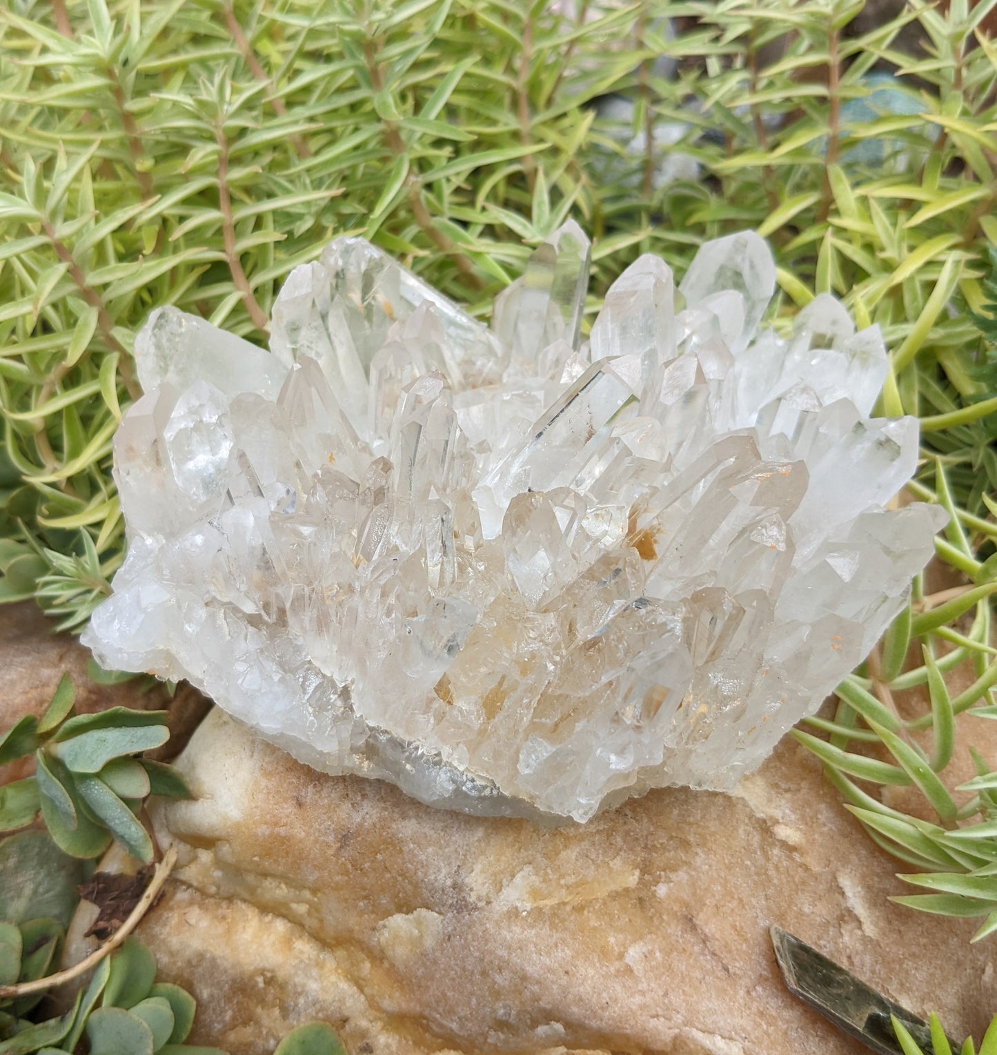 Clear Crystal Quartz Cluster - Mineral Specimen - 3105 ct - prettyrock.com