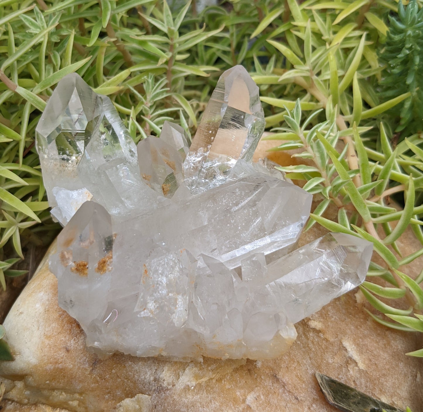 Clear Crystal Quartz Cluster - Mineral Specimen - 1410 ct - prettyrock.com