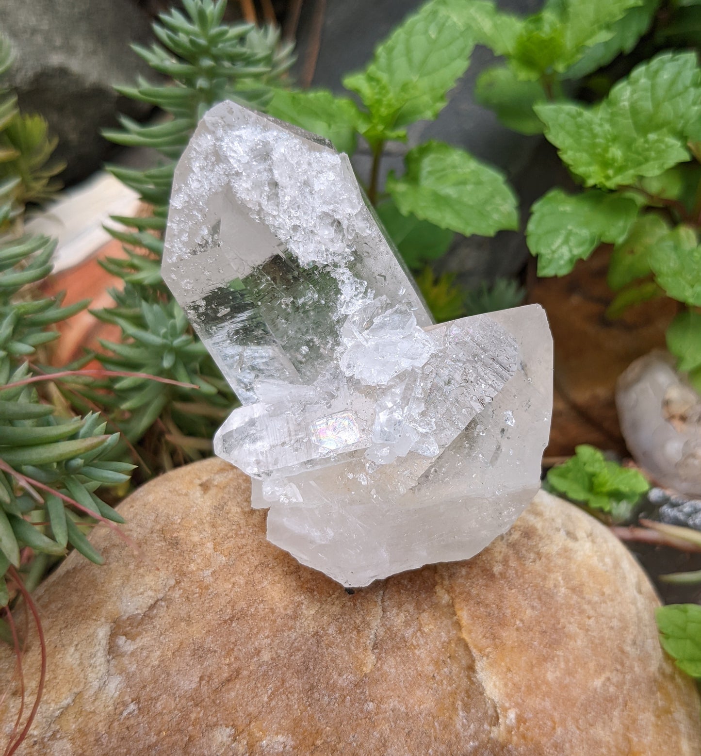Clear Crystal Quartz Cluster - Mineral Specimen - 465 ct - prettyrock.com