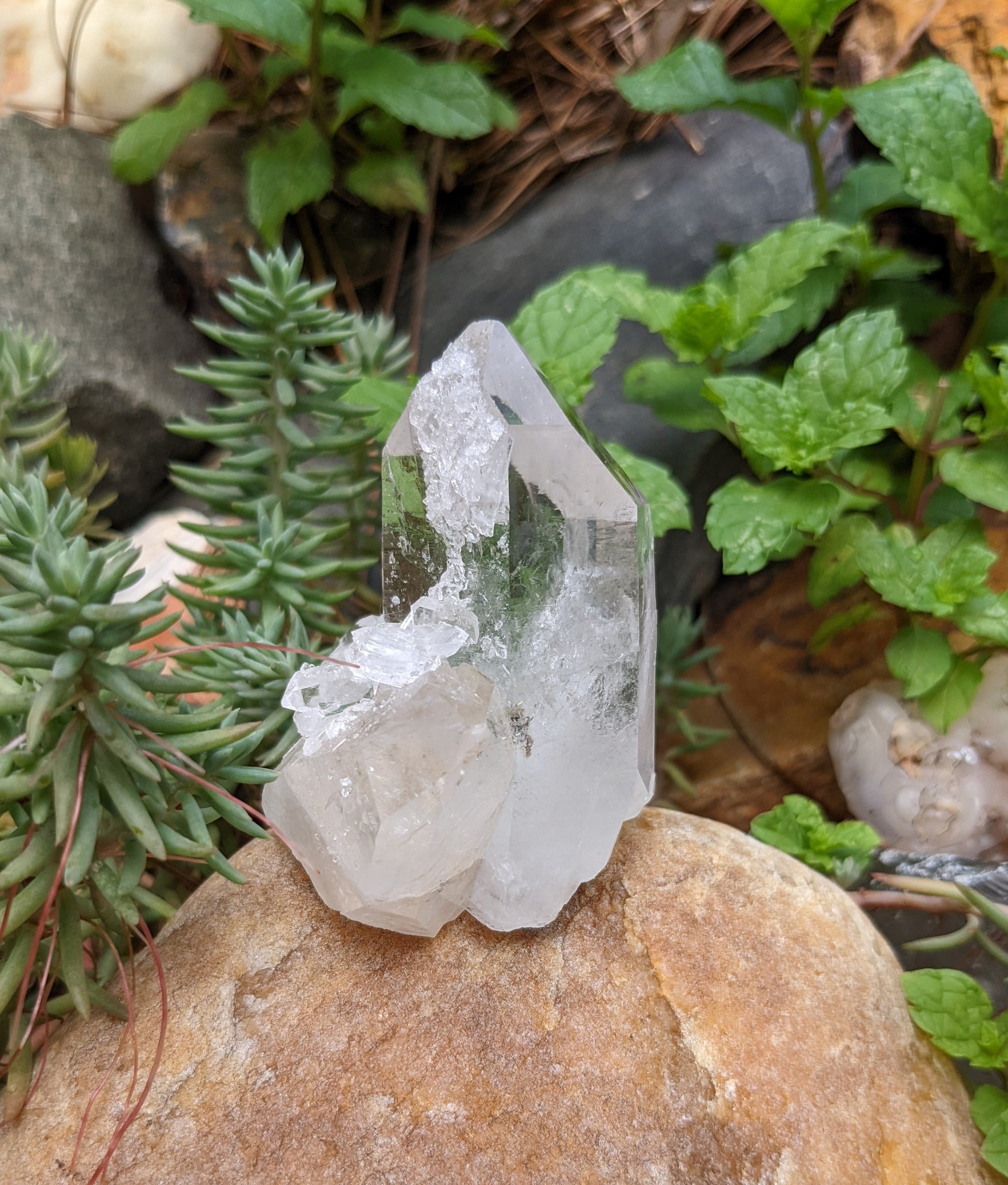 Clear Crystal Quartz  Cluster - Mineral Specimen - 465 ct - prettyrock.com