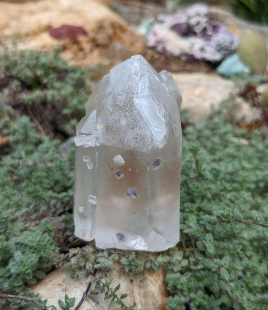 Quartz with Fluorite Inclusions - Mineral Specimen - 741.5 ct - prettyrock.com