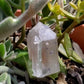 Quartz with Fluorite Inclusions - Mineral Specimen - 741.5 ct - prettyrock.com