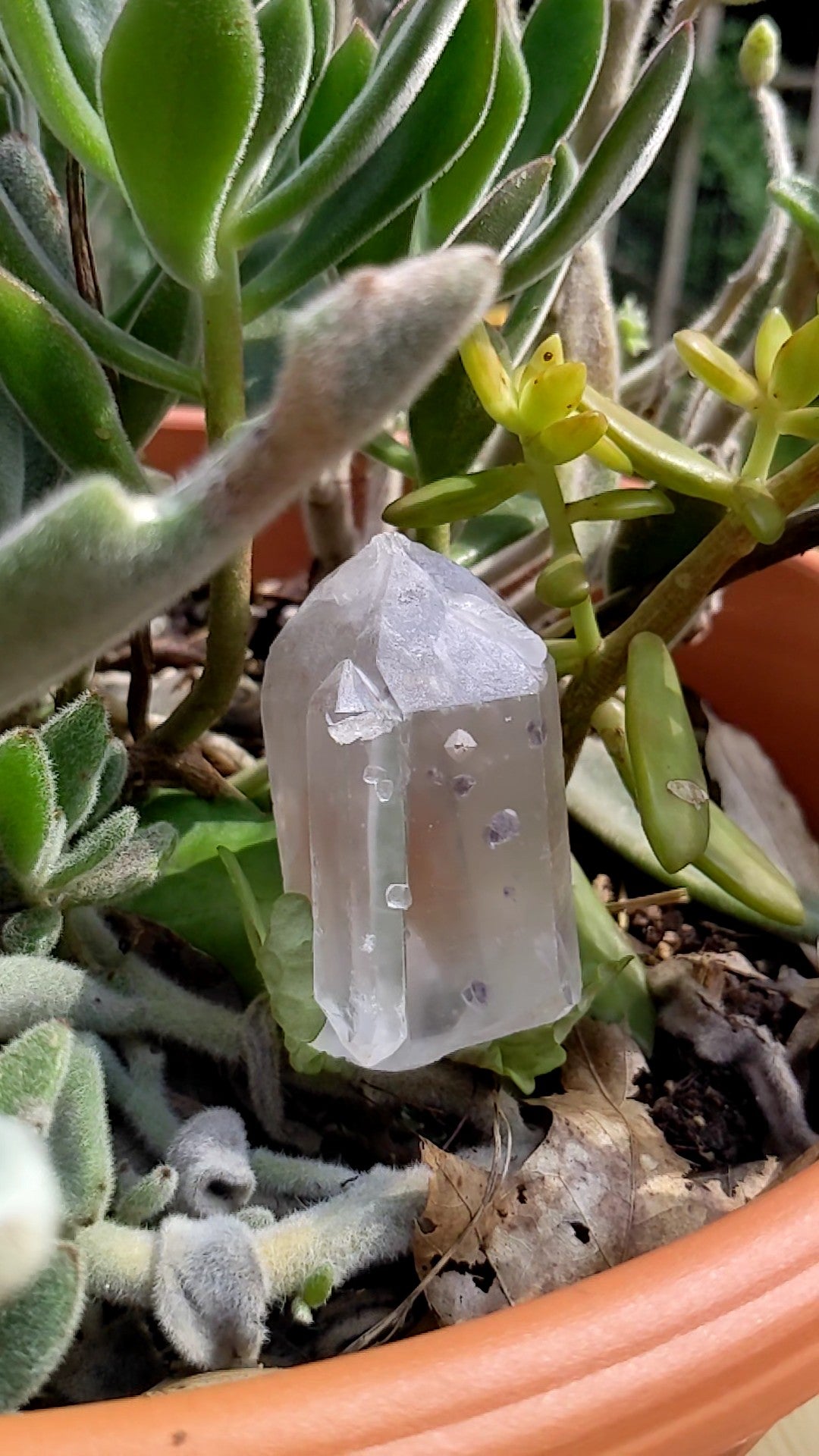 Quartz with Fluorite Inclusions - Mineral Specimen - 741.5 ct - prettyrock.com