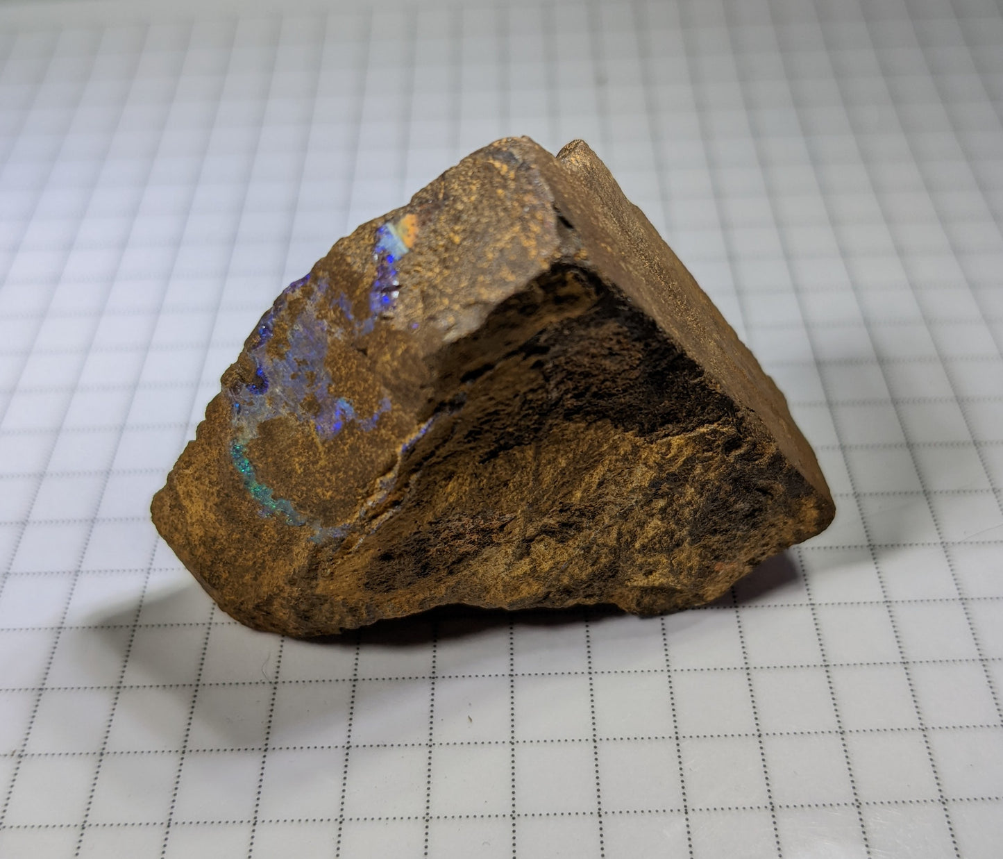 Boulder Opal - 274.3ct - Hand Select Gem Rough - prettyrock.com