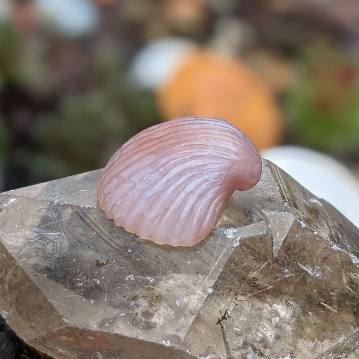 Agate Sea Shell - Hand Carved by Elizabeth McRorie - prettyrock.com
