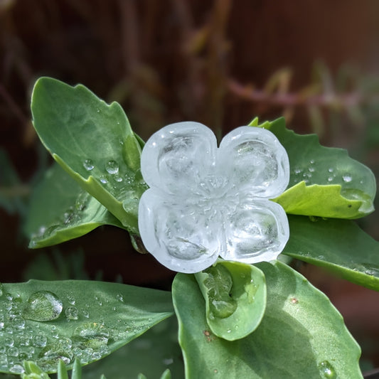 Aquamarine Dogwood Flower - Hand Carved  by Elizabeth McRorie - prettyrock.com