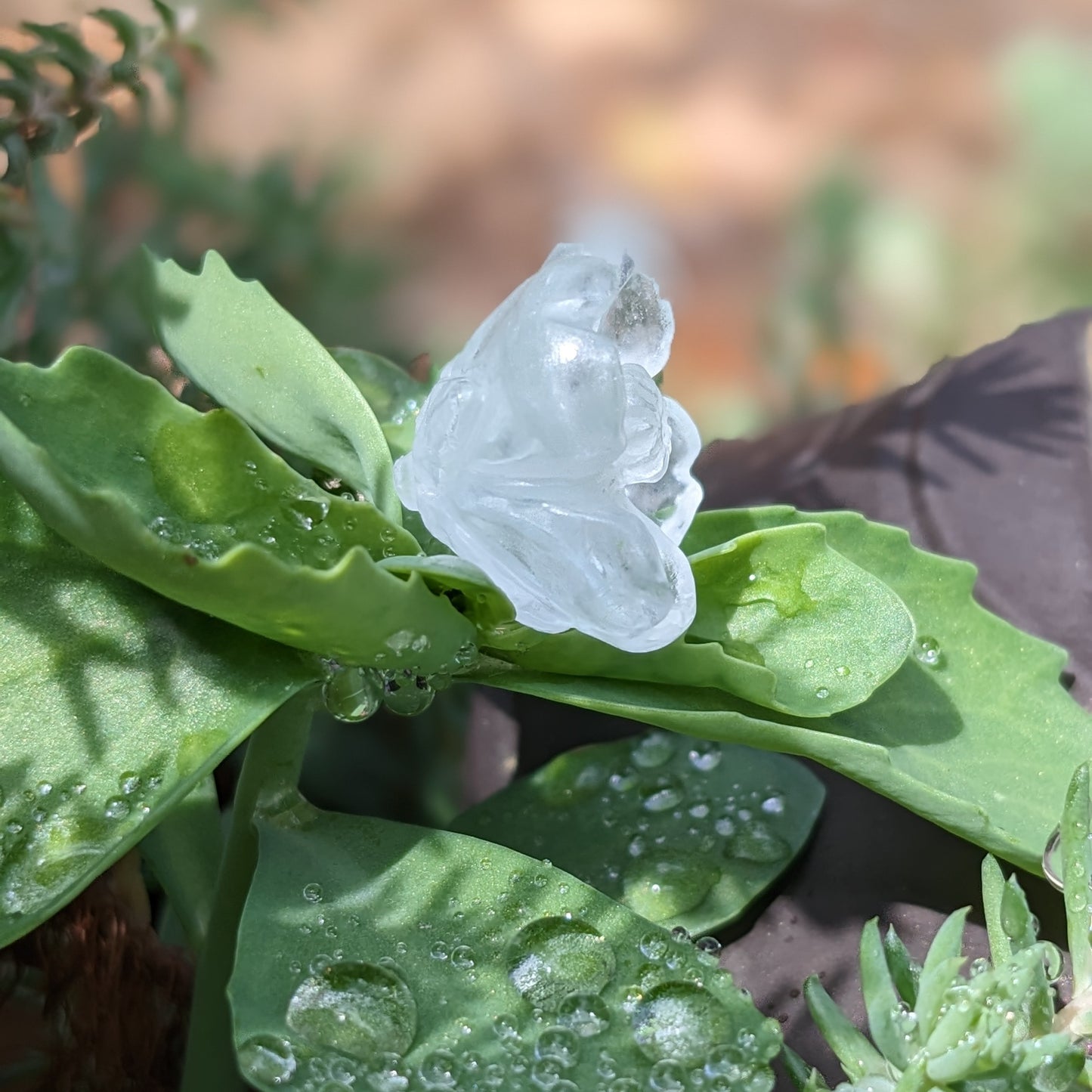 Aquamarine Dogwood Flower - Hand Carved by Elizabeth McRorie - prettyrock.com