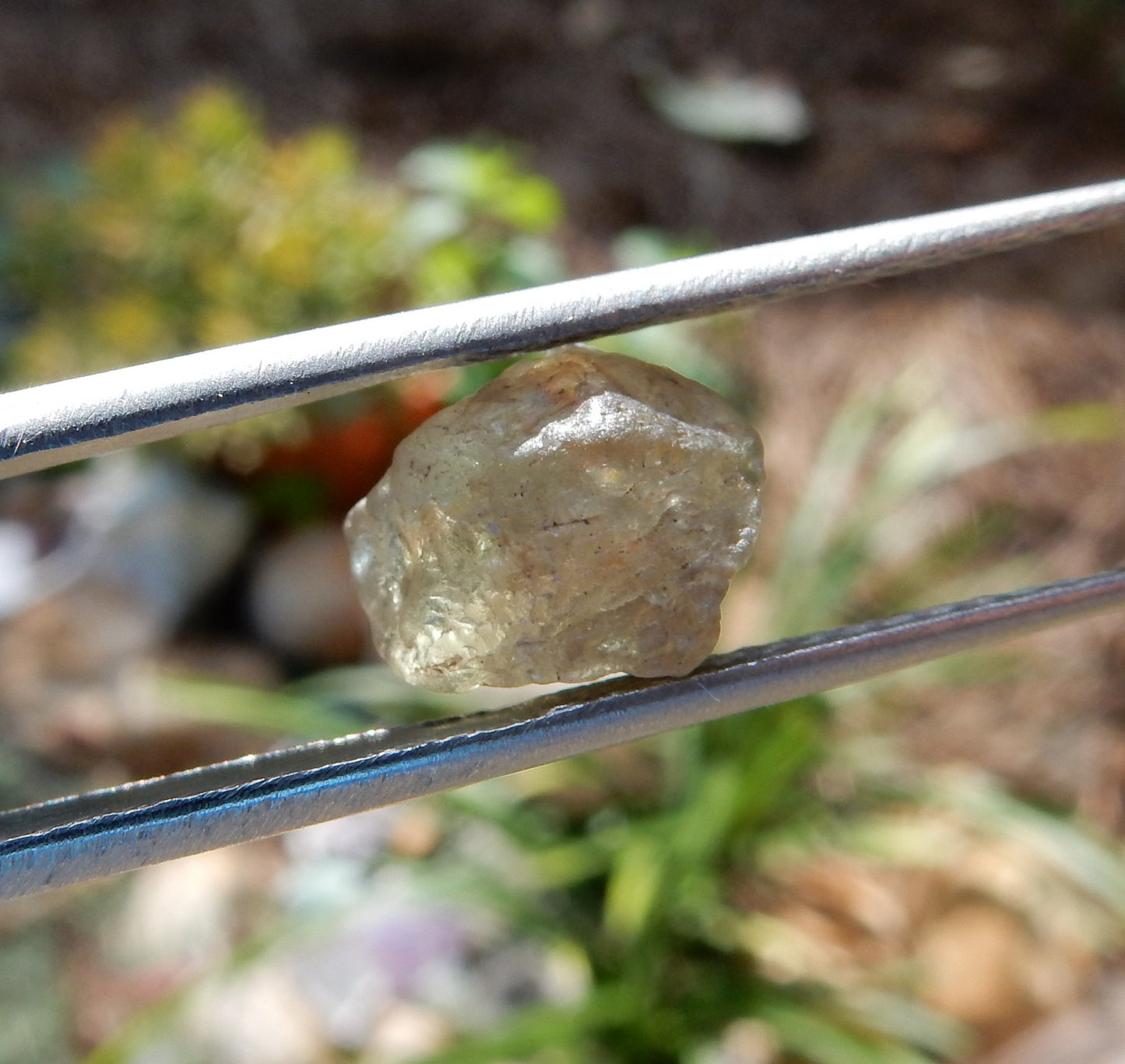 3.85ct Alexandrite - Hand Select Gem Rough - prettyrock.com
