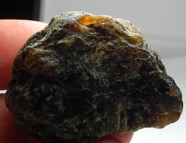 50.08ct Amber - Hand Select Gem Rough - prettyrock.com