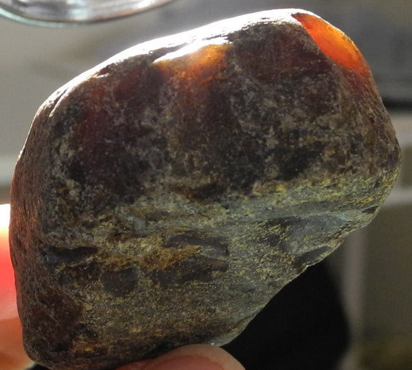 99.7ct Amber  - Hand Select Gem Rough - prettyrock.com