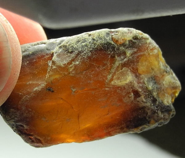 86ct Amber  - Hand Select Gem Rough - prettyrock.com