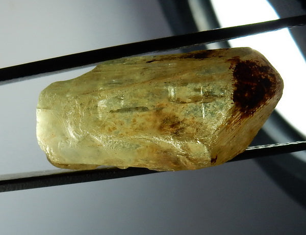 32.48ct Apatite  - Hand Select Gem Rough - prettyrock.com