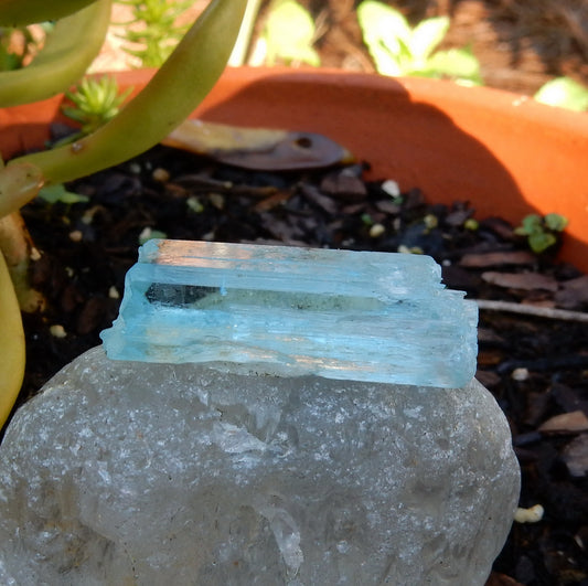 Aquamarine  - 31.66 ct - Hand Select Gem Rough - prettyrock.com