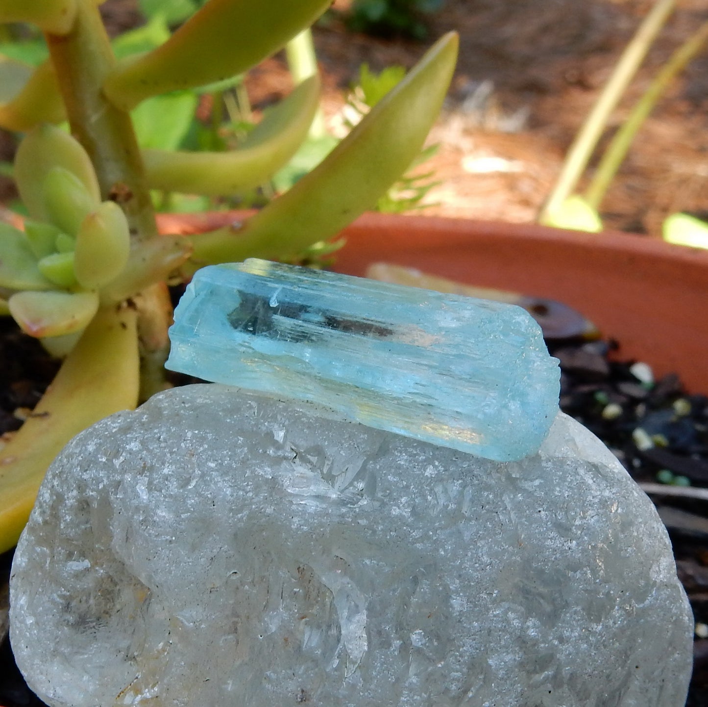 Aquamarine - 31.66 ct - Hand Select Gem Rough - prettyrock.com