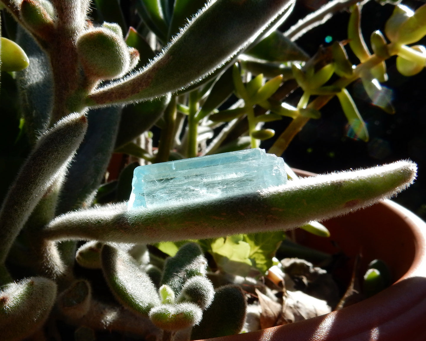 Aquamarine - 31.66 ct - Hand Select Gem Rough - prettyrock.com