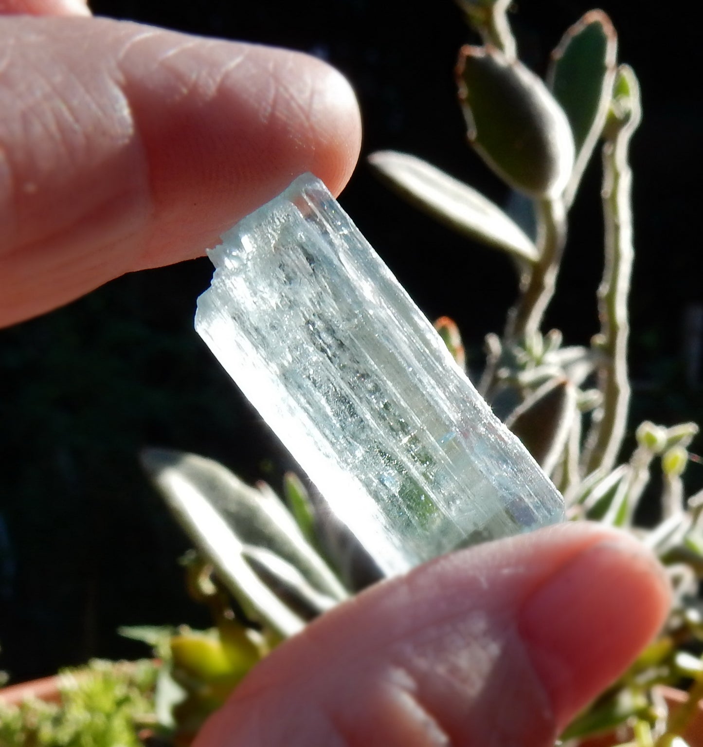 Aquamarine  - 31.66 ct - Hand Select Gem Rough - prettyrock.com