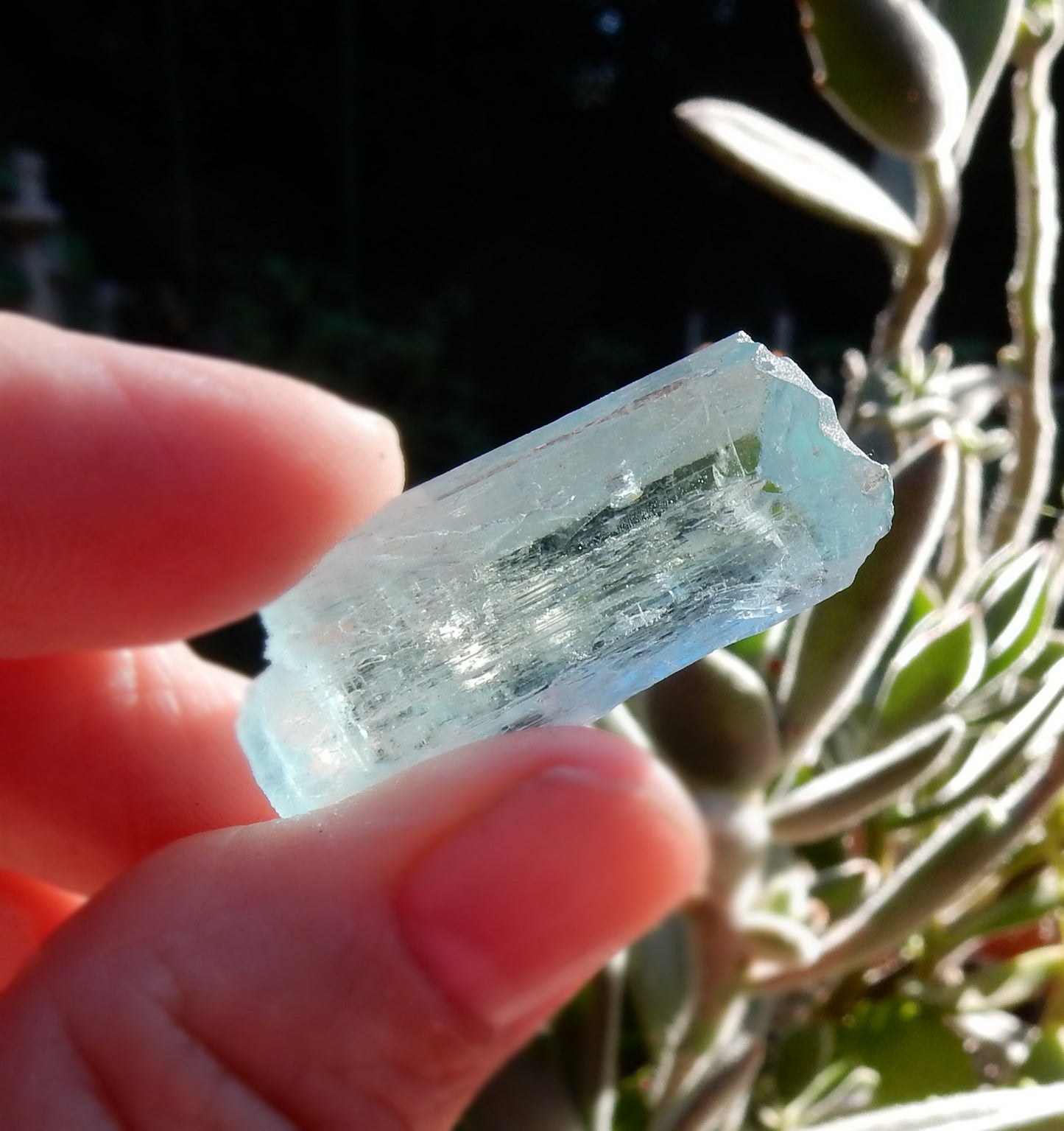 Aquamarine - 31.66 ct - Hand Select Gem Rough - prettyrock.com