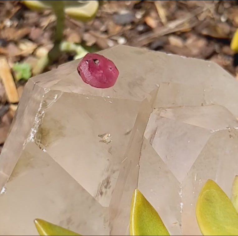 Pink Sapphire - 6.65ct - Hand Select Gem Rough - prettyrock.com